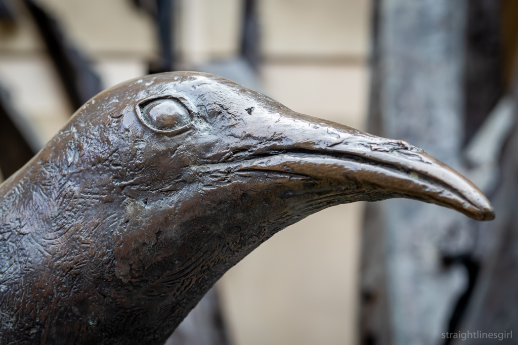 A close up of a bronze sculpture of a bird's head